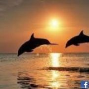 Marta Flusa
