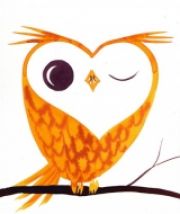 Avatar di Silvia Lazzari