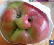 Avatar di Mahnaz Dehnavi