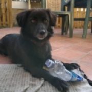 Maria Pia Zambernardi