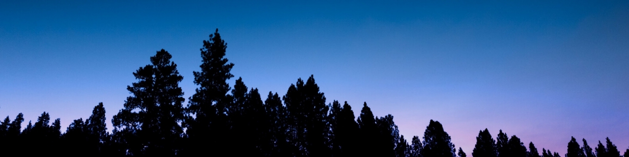 Welcome-To-the-Beauty