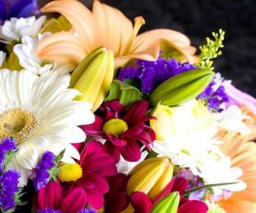 significato-fiori_H1