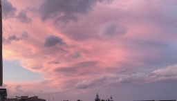 B80E2029-367B-4078-AD74-C6E1B41EC26B