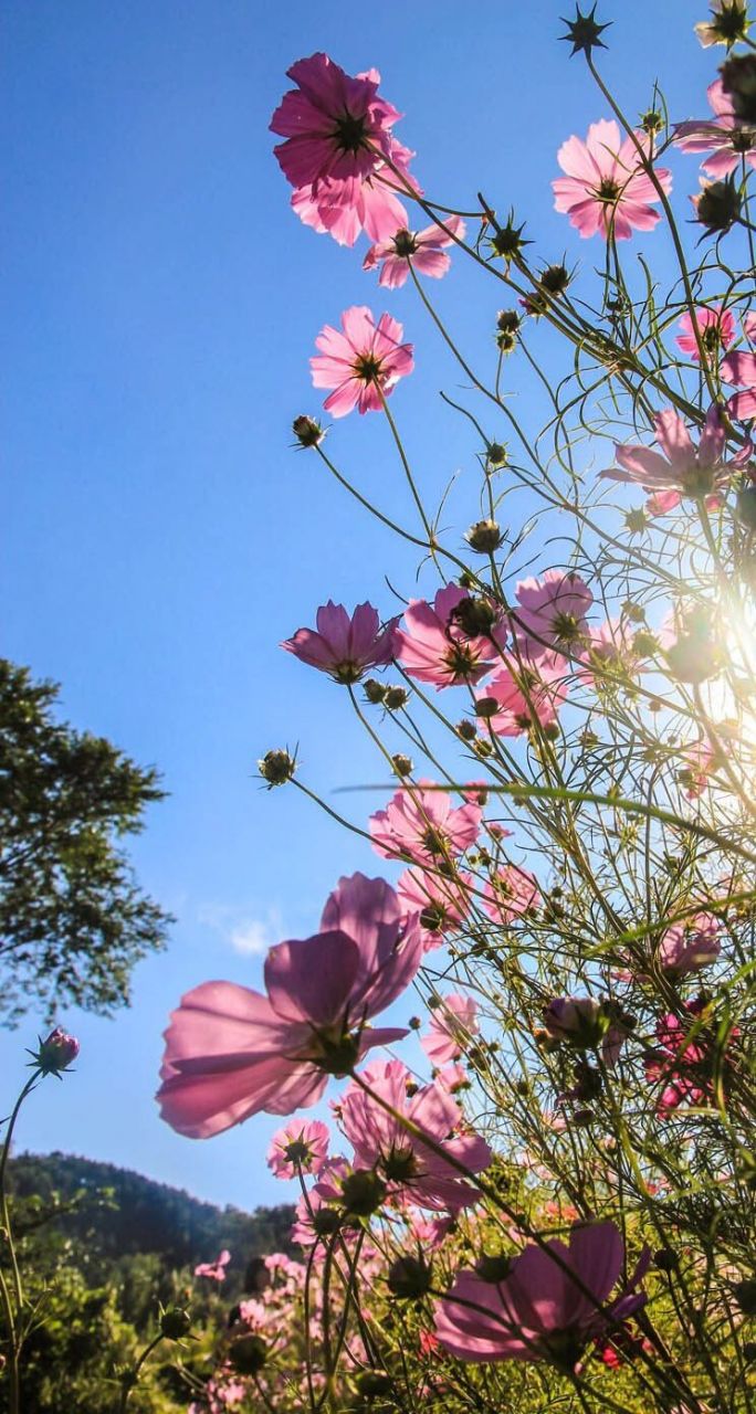 4a397f914afe7f8b501039fa.jpg - image