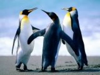 ccbaa2129ca0ddc0645a8b86.jpg